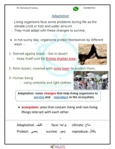 مذكرة science للصف الرابع الابتدائي الترم الأول