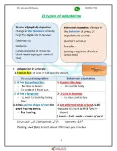 مذكرة science للصف الرابع الابتدائي الفصل الدراسي الاول