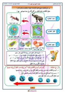 مذكرة علوم للصف السادس الابتدائي الترم الاول 2024 -3