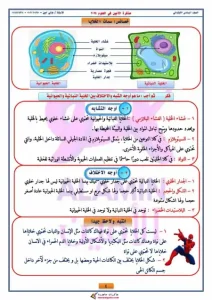 مذكرة علوم للصف السادس الابتدائي الترم الاول 2024 - 4