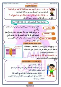 مذكرة علوم للصف السادس الابتدائي الترم الاول 2024 - 5