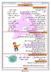مذكرة علوم للصف السادس الابتدائي الترم الاول 2024 - 6