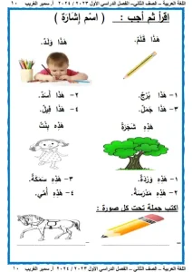 مذكرة لغة عربية للصف الثاني الابتدائي ترم اول