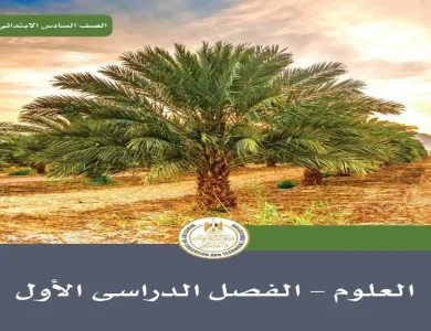 كتاب منهج العلوم للصف السادس الابتدائي pdf 2024 الترم الاول