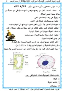 مذكرة علوم الصف السادس الابتدائي الترم الاول 2024 - 3