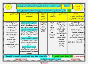 تحضير الدراسات الاجتماعية للصف الخامس الابتدائي الفصل الدراسي الأول