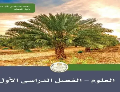 دليل معلم العلوم للصف السادس الابتدائي ترم اول 2024